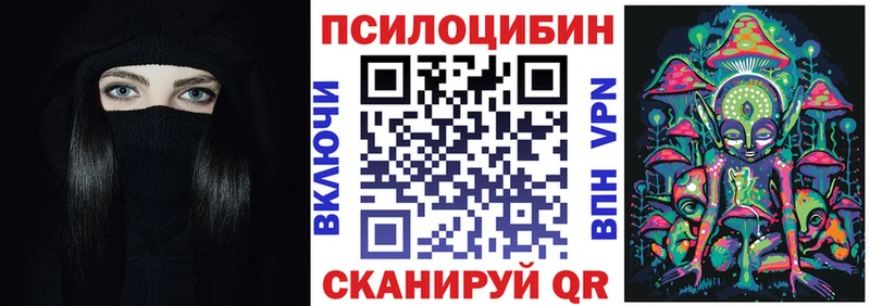 Псилоцибиновые грибы Psilocybine cubensis  Купить где  Красногорск 